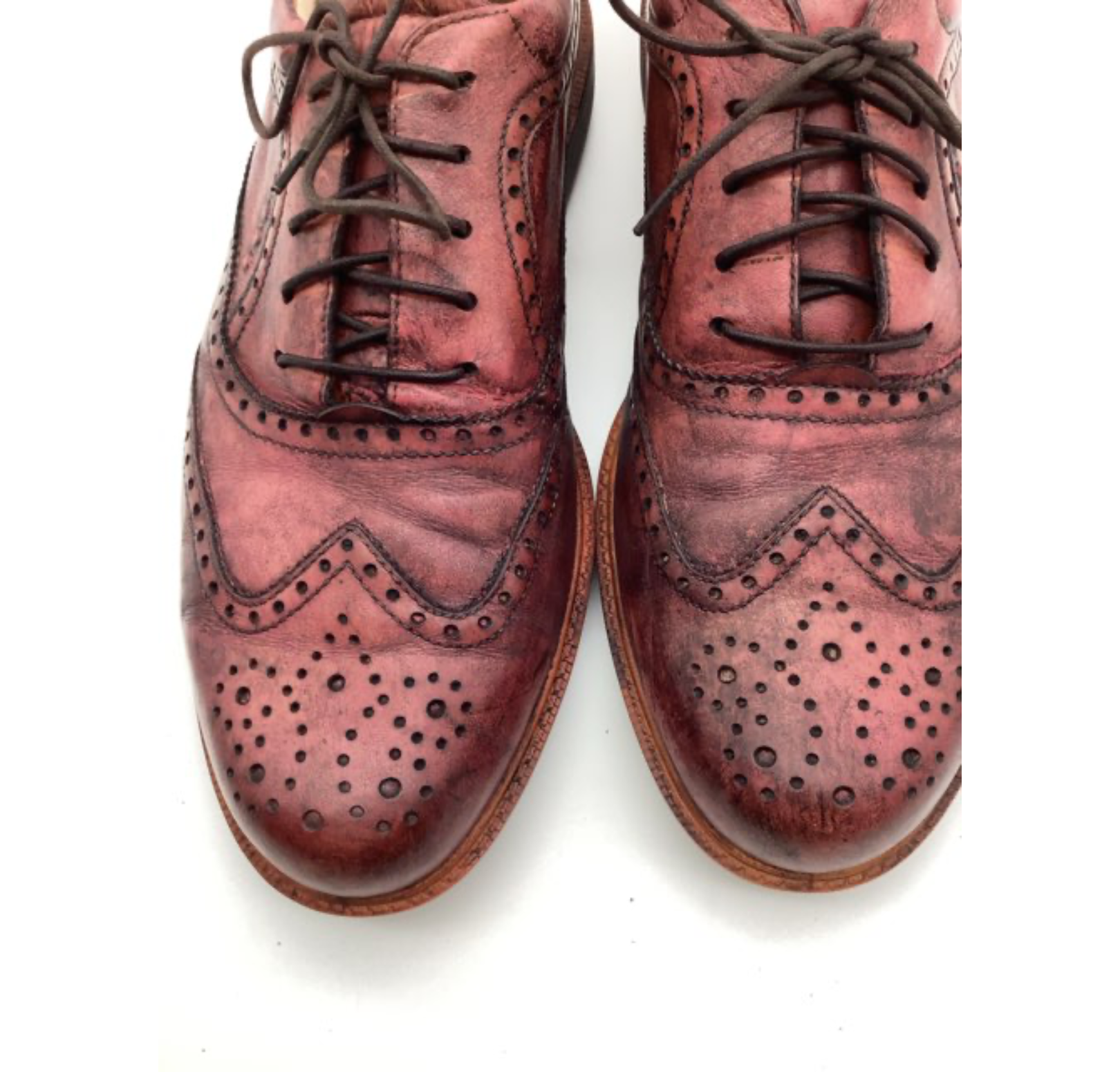 Ecco Sko (H827)